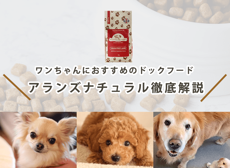 【アランズナチュラルドッグフードは？】成分・素材・値段を徹底評価