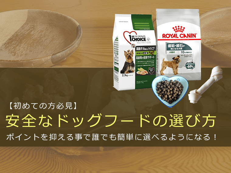 【初めての方必見】安全なドッグフードの選び方をご紹介します