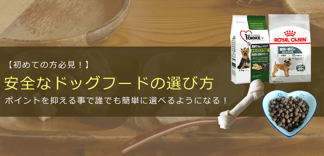 【初めての方必見】安全なドッグフードの選び方をご紹介します