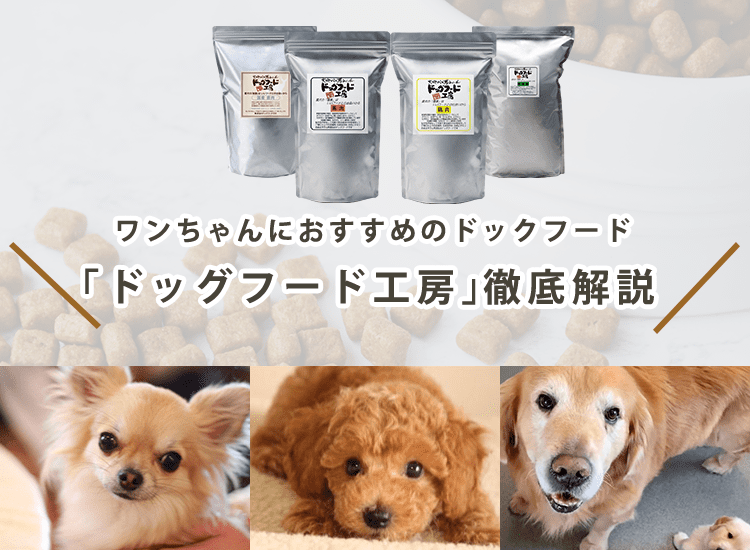 【ドッグフード工房はおすすめ?】成分から原料、コスパまで徹底解説