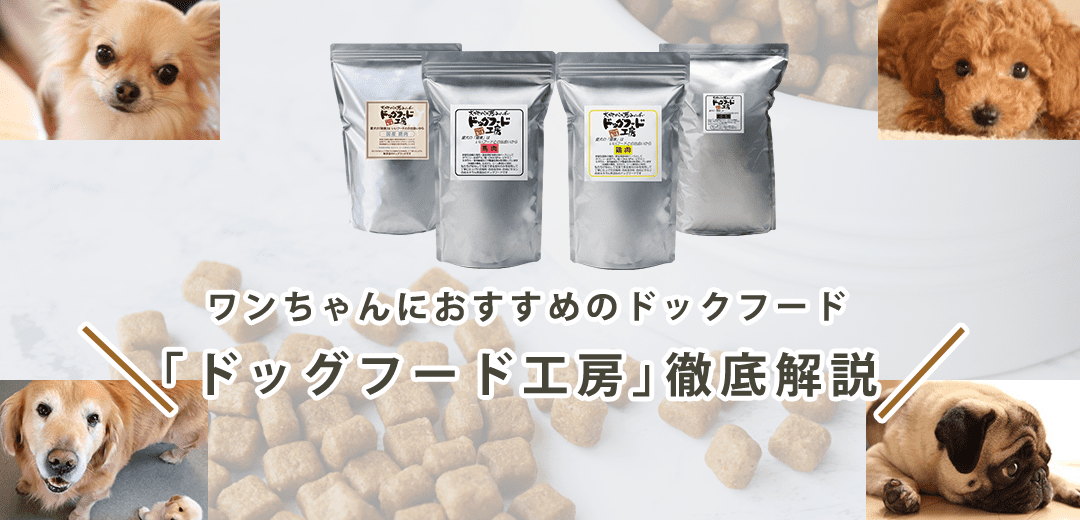 【ドッグフード工房はおすすめ?】成分から原料、コスパまで徹底解説