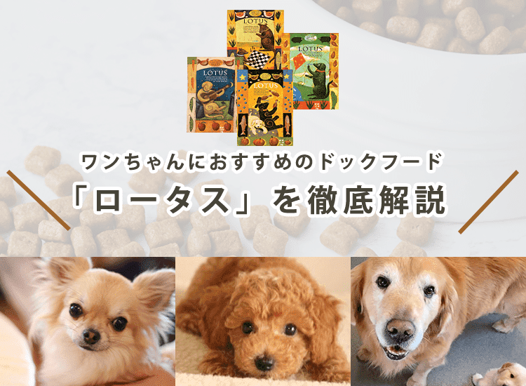 【ロータスはおすすめ？】ドッグフードの口コミから成分・値段を紹介