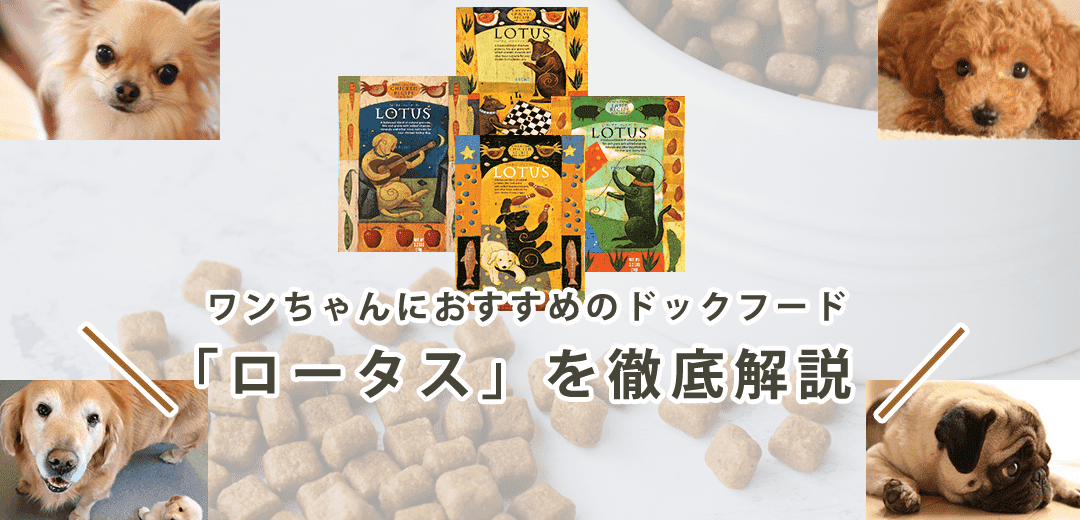 【ロータスはおすすめ？】ドッグフードの口コミから成分・値段を紹介