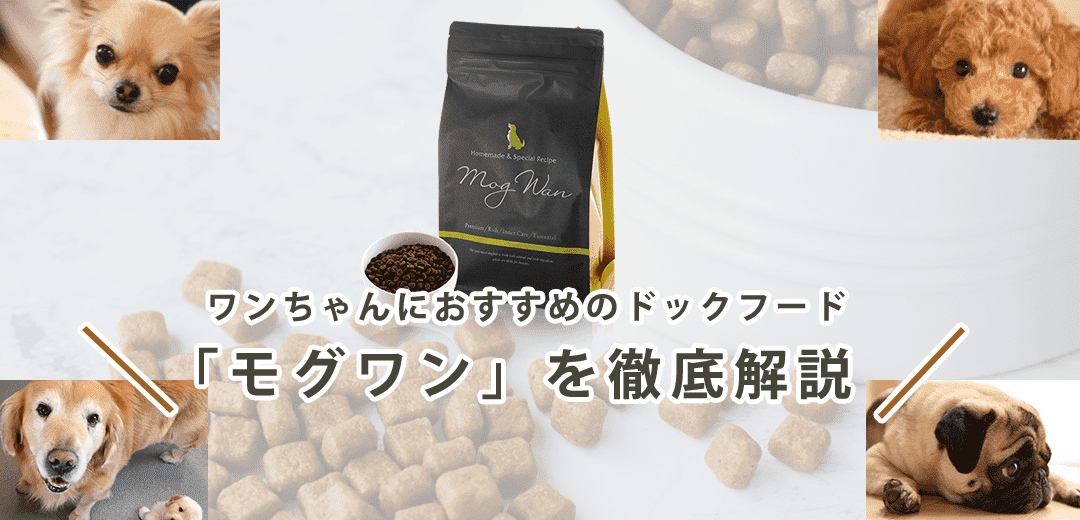 【モグワンはおすすめ？】口コミ・評価から成分・値段まで徹底解説