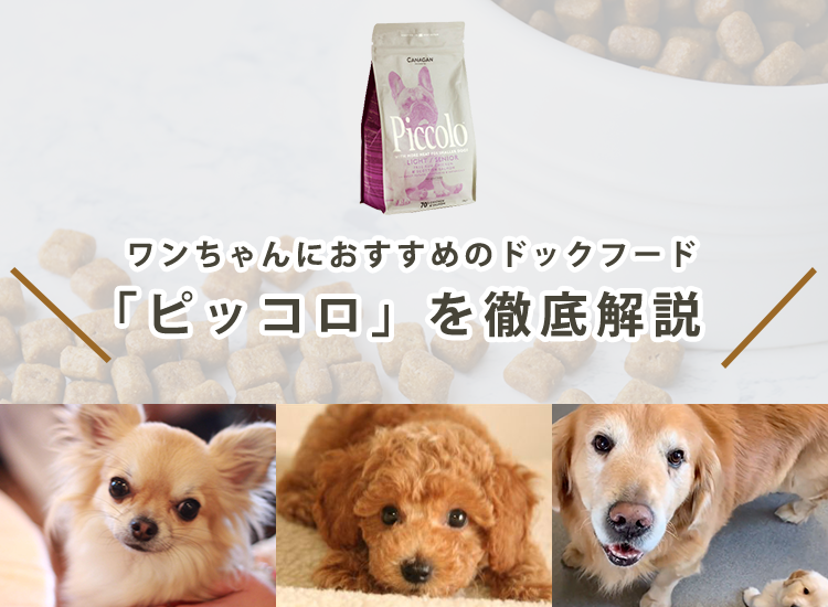 【ピッコロはおすすめ？】ドッグフードの成分・素材・値段を徹底解説