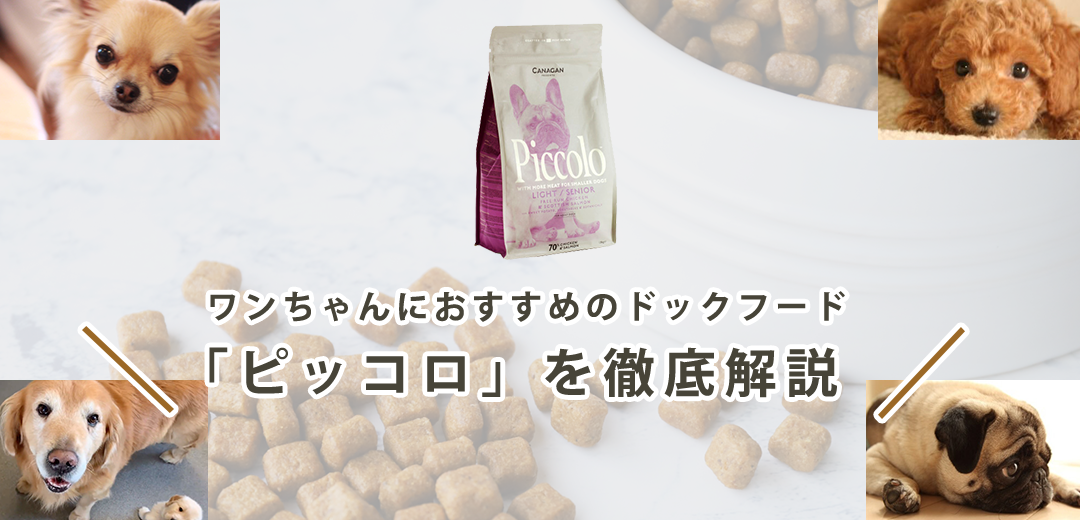【ピッコロはおすすめ？】ドッグフードの成分・素材・値段を徹底解説