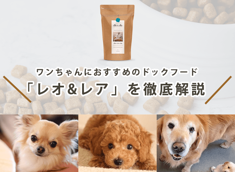 【レオ&レアはおすすめ?】ドッグフードの成分値・コスパを徹底解説