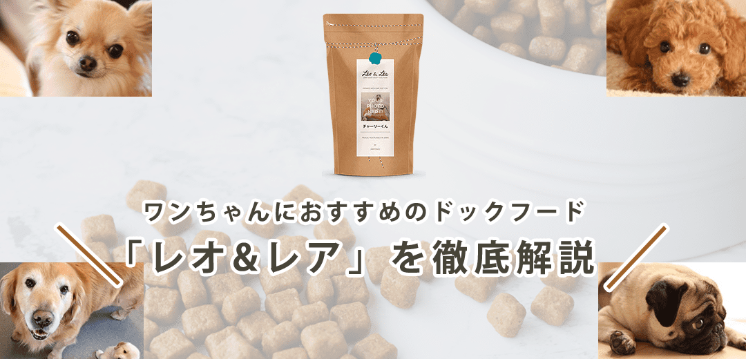 【レオ&レアはおすすめ?】ドッグフードの成分値・コスパを徹底解説