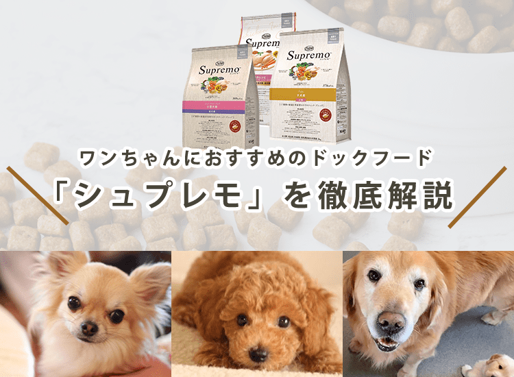【シュプレモはおすすめ？】ドッグフードの口コミから成分・値段を紹介