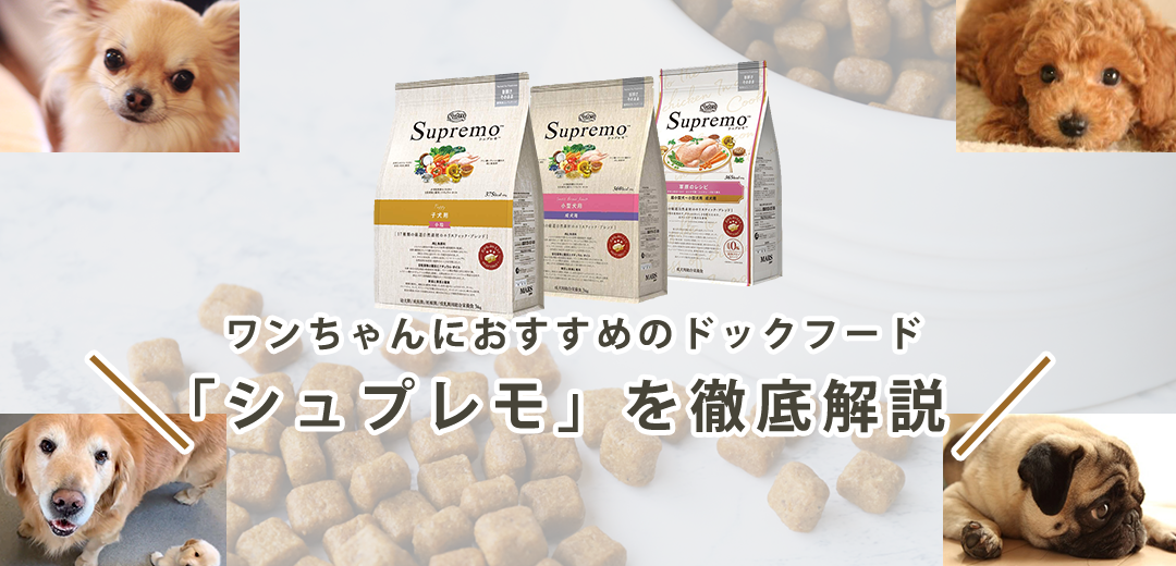 【シュプレモはおすすめ？】ドッグフードの口コミから成分・値段を紹介