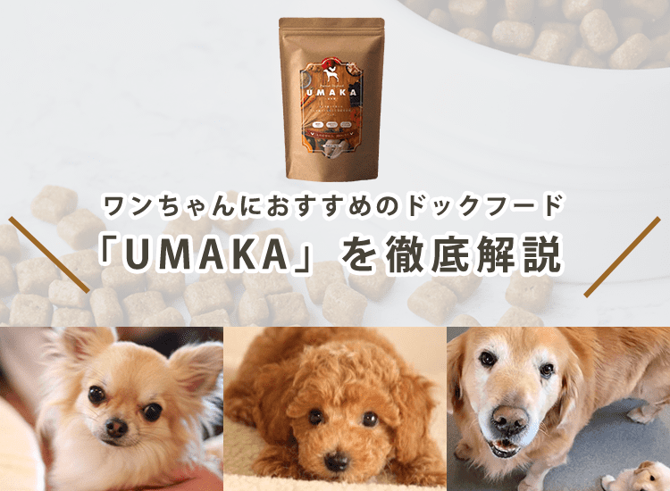 【UMAKAはおすすめ?】ドッグフードの成分・素材・値段を徹底解説
