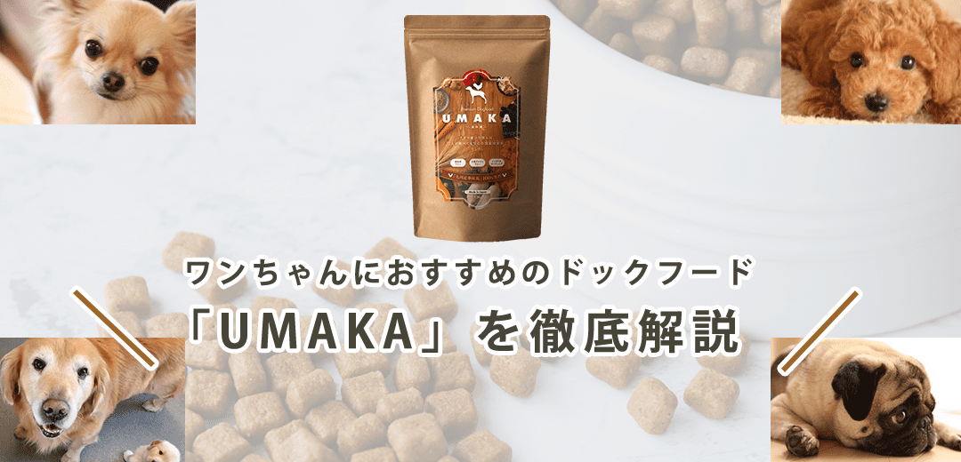 【UMAKAはおすすめ?】ドッグフードの成分・素材・値段を徹底解説